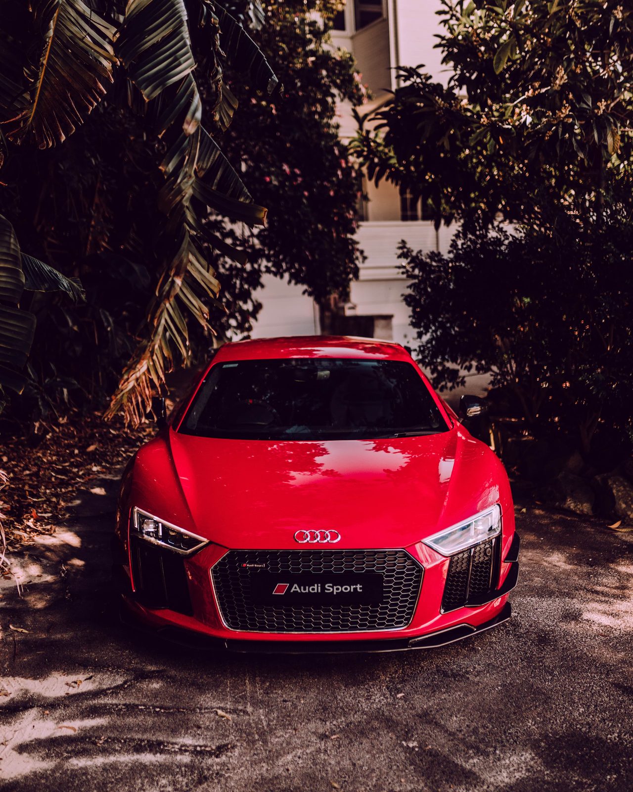 r8d 33